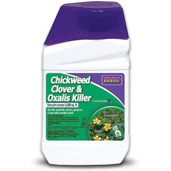 What is the best chickweed killer