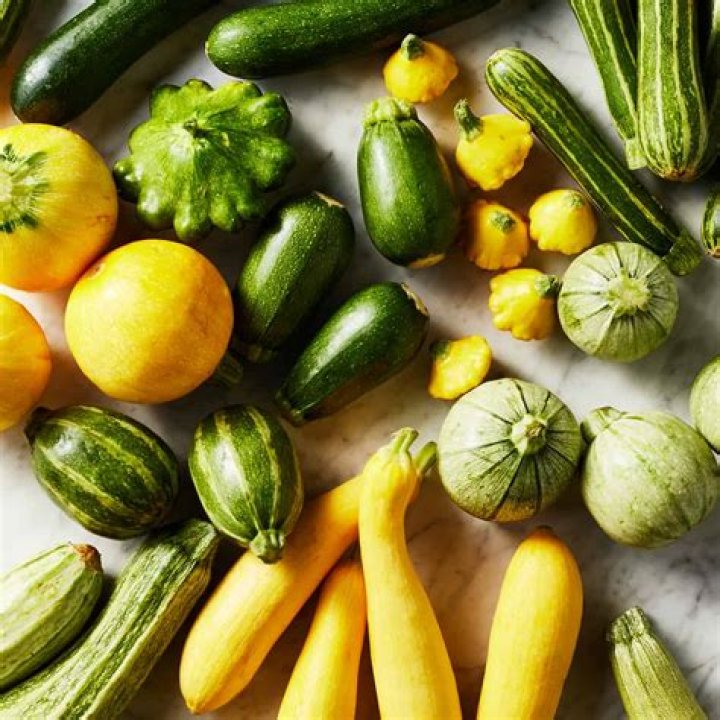 What is the best summer squash