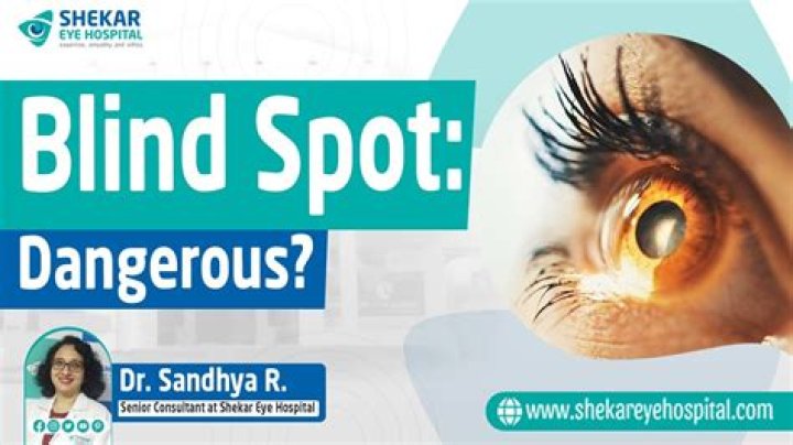 What is the blind spot in biology