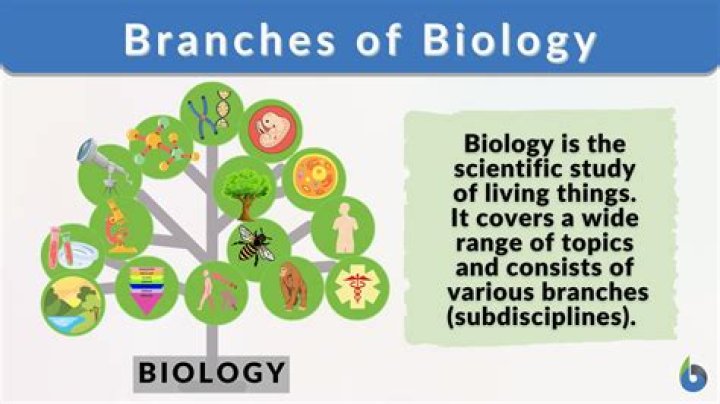What is the branch of Biology