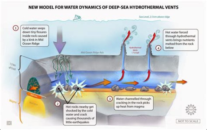 What is the deep-sea vents theory