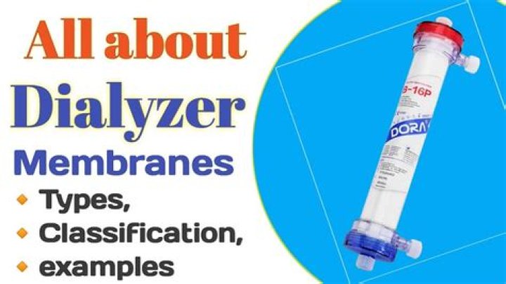 What is the dialyzer membrane