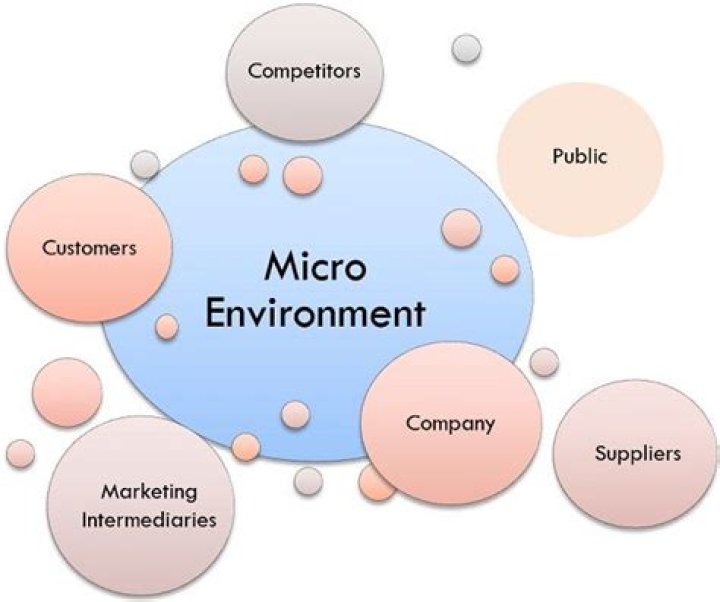 What is the micro environment