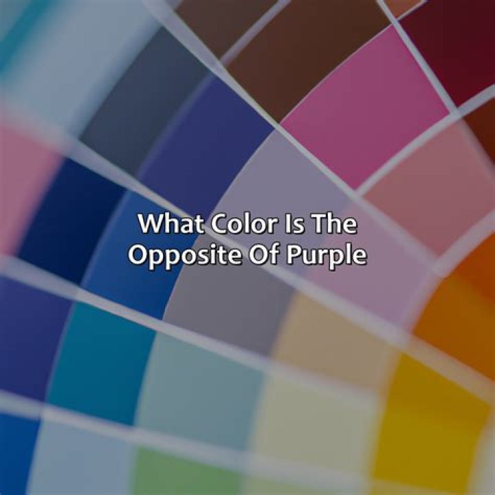 What is the opposite of rebel