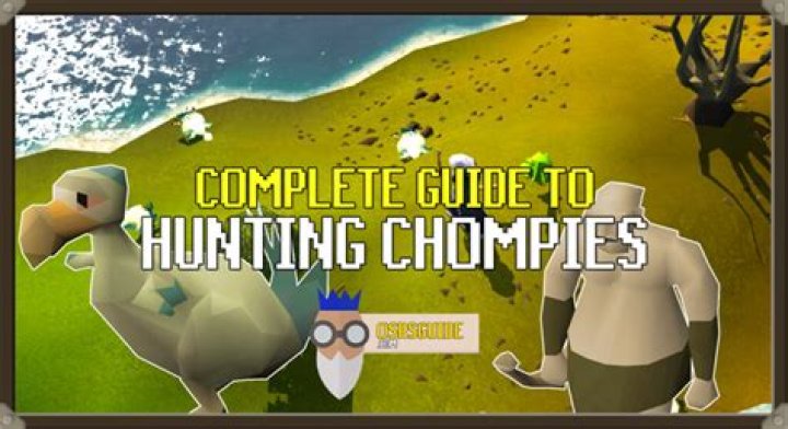 What is the point of hunting Osrs