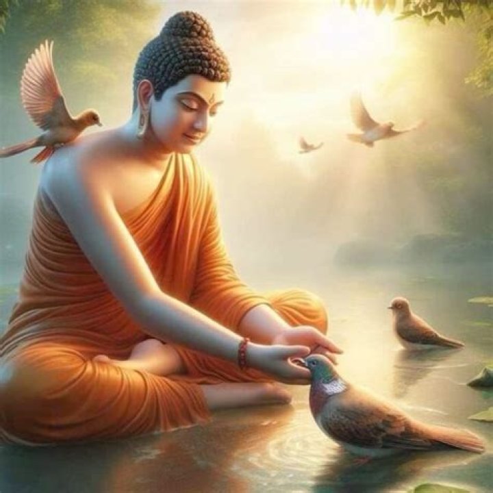 What is the purpose of Siddhartha