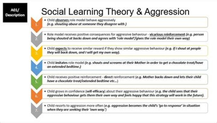 What is the social learning theory of aggression
