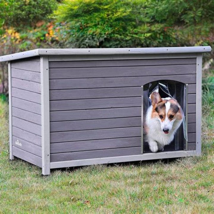 What is the warmest dog house