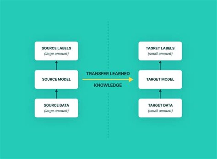 What is transfer and examples