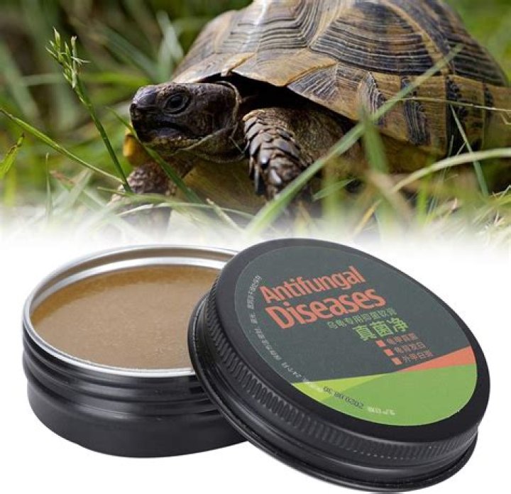 What is turtle lotion made of