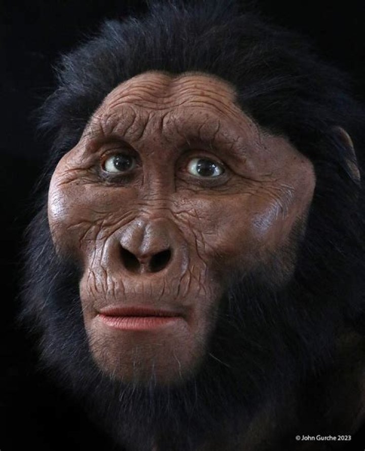 What is unique about Paranthropus