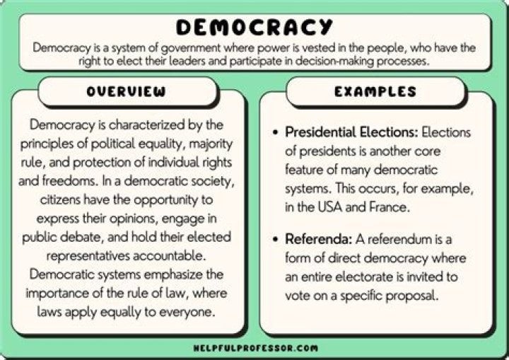 What is voting in a democracy