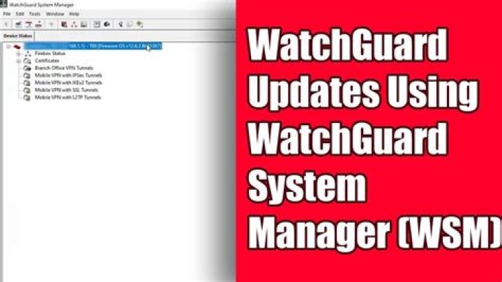 What is WatchGuard System Manager