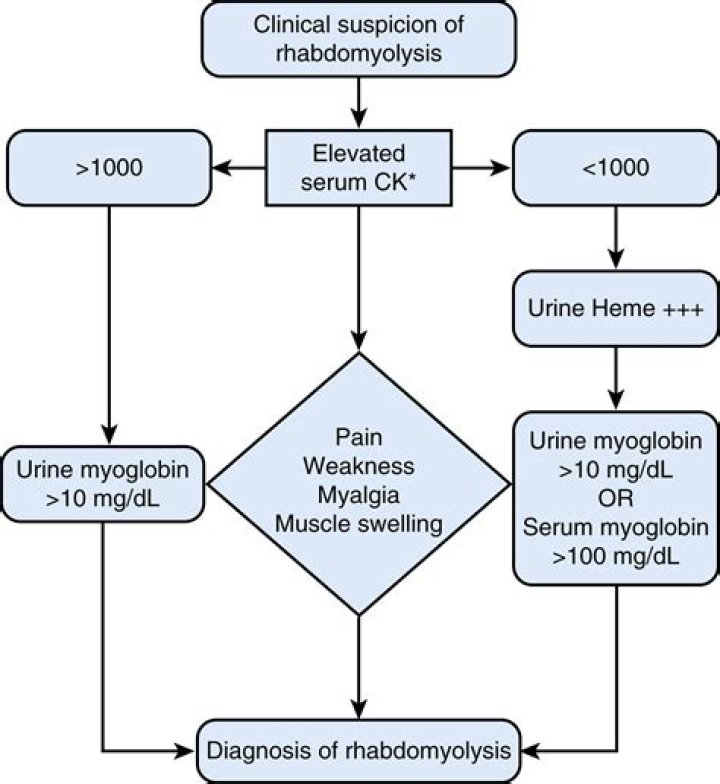 What labs are elevated in rhabdomyolysis