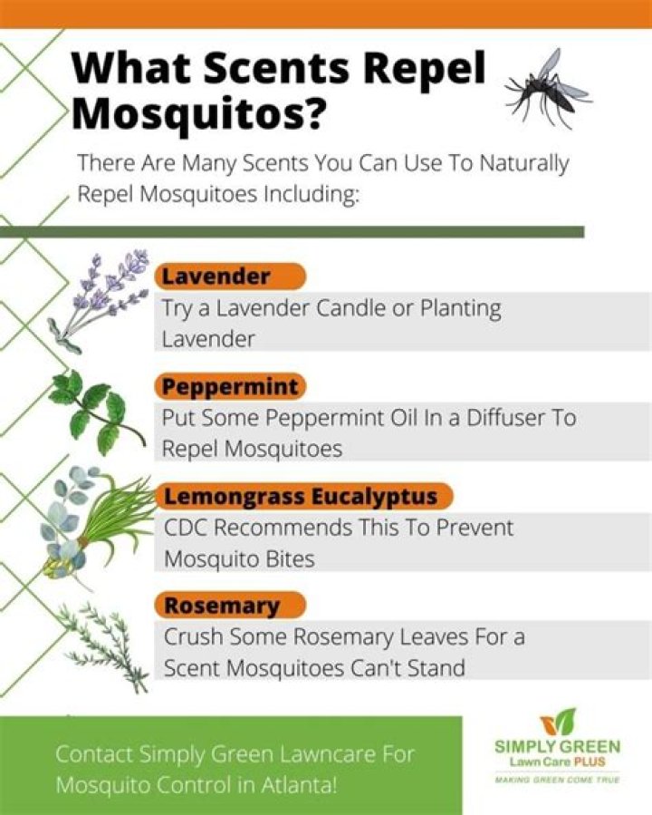 What lotion keeps mosquitoes away