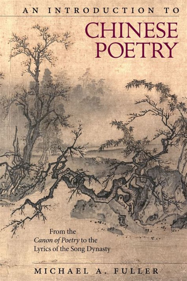 What makes Chinese poetry special