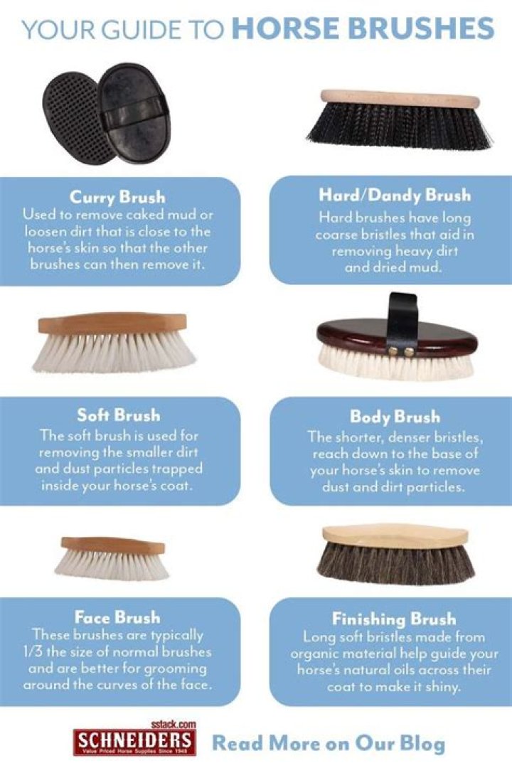 What order do horse brushes go in