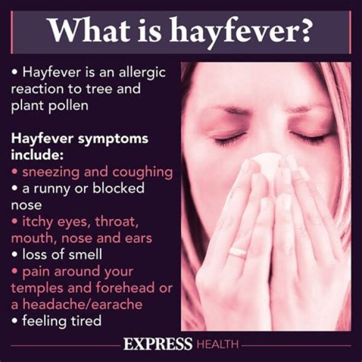 What plant triggers hay fever