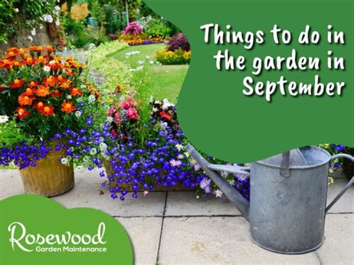 What should I do in the garden in September
