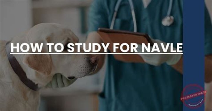 What should I study for the Navle