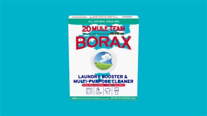What stains does borax remove