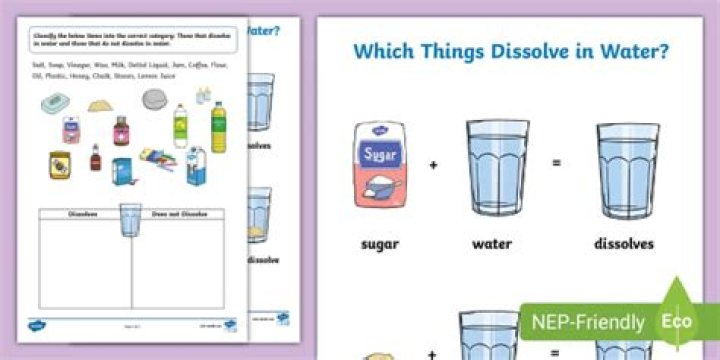 What things can dissolve in water