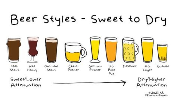 What type of beer is zero gravity