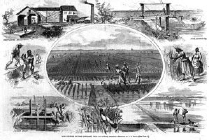 What type of jobs did slaves have