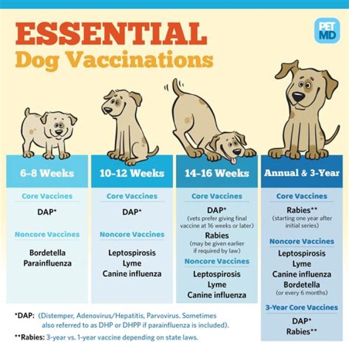 What vaccines do dogs need yearly