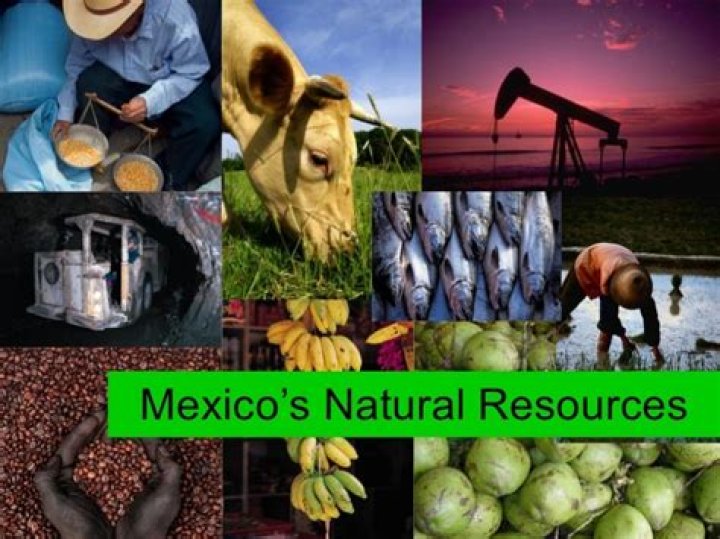 What was Mexicos most valuable resource before oil