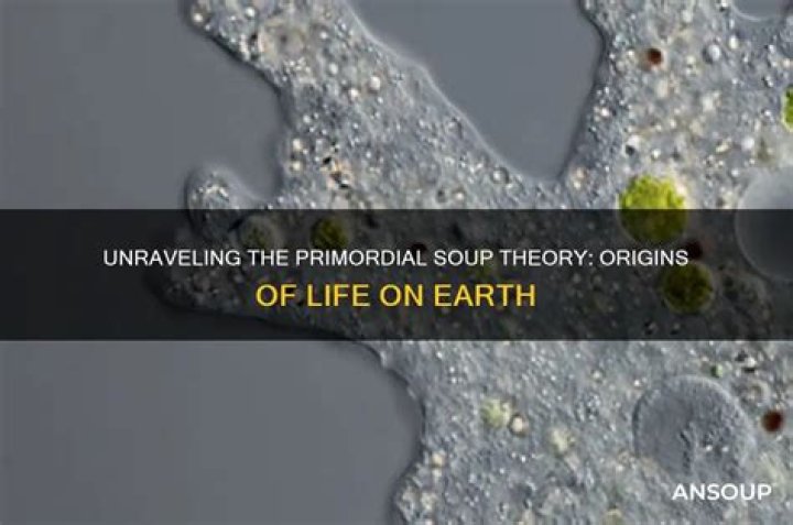 What was the primordial soup theory