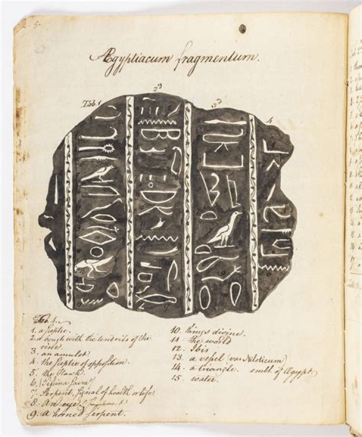 What was the treaty of Albany