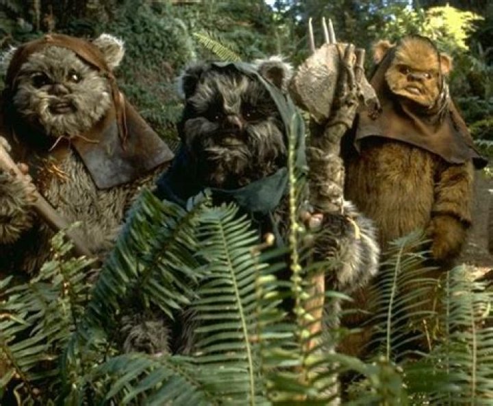 What were Ewoks modeled after