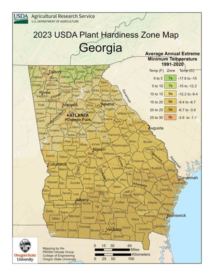 What zone is Georgia for planting