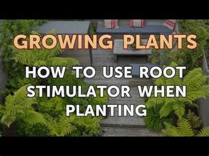 When should I use root stimulator
