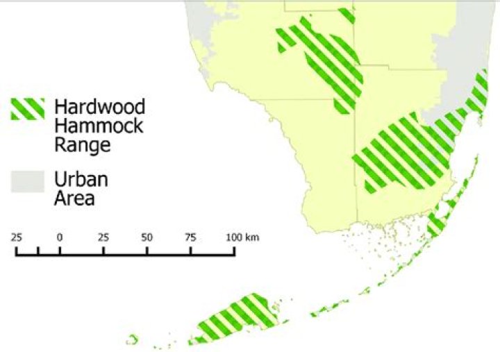 Where are hardwood hammocks found