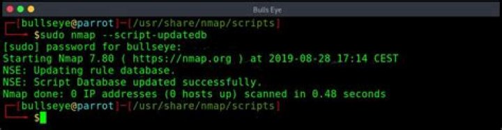 Where are NSE scripts located
