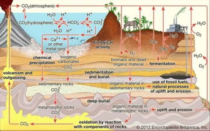 Where can carbonates be found