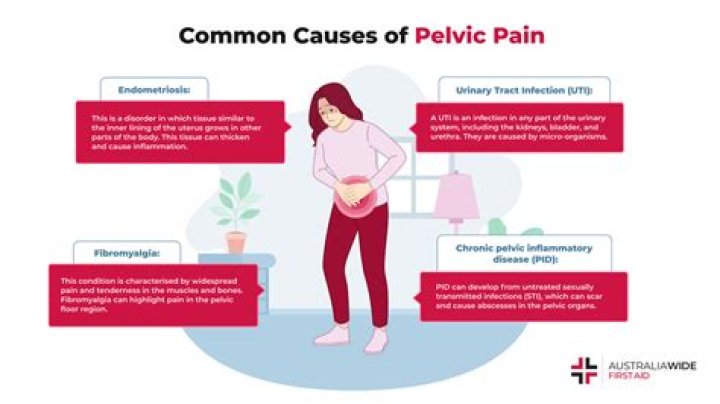Where do you feel pelvic pain