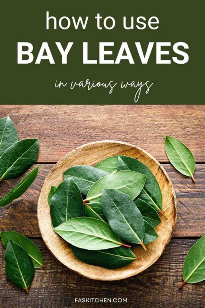 Where do you get fresh bay leaves