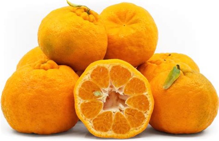 Where is ugli fruit from