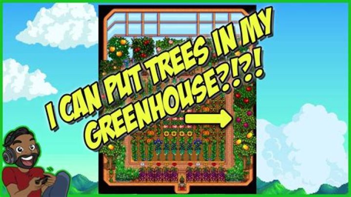 Where should I plant my trees