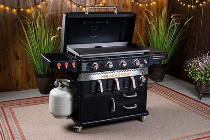 Which brand is best for grill