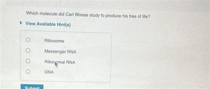 Which molecule did Carl Woese study