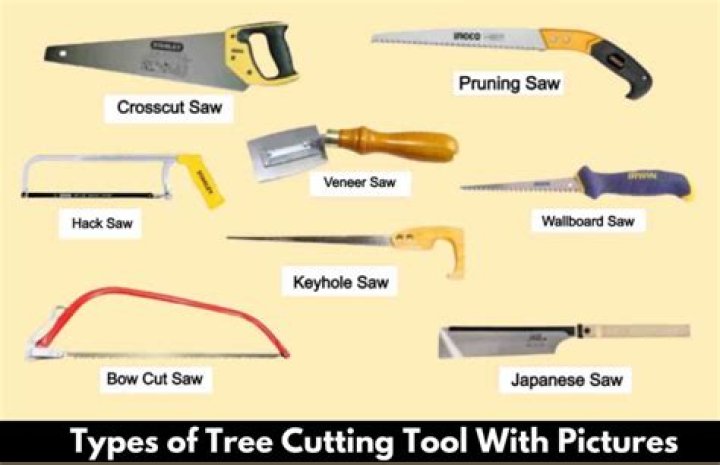 Which tool is used for laying out