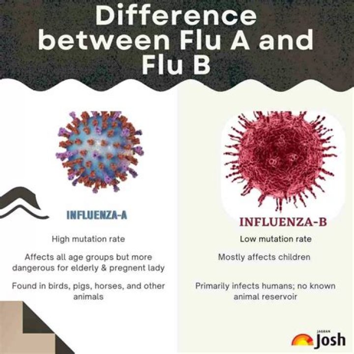 Which type of flu is worse A or B