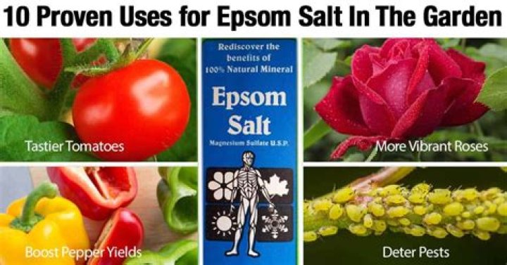 Which vegetables need Epsom salts
