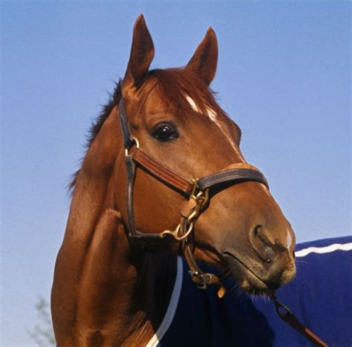 Who came in second to Secretariat