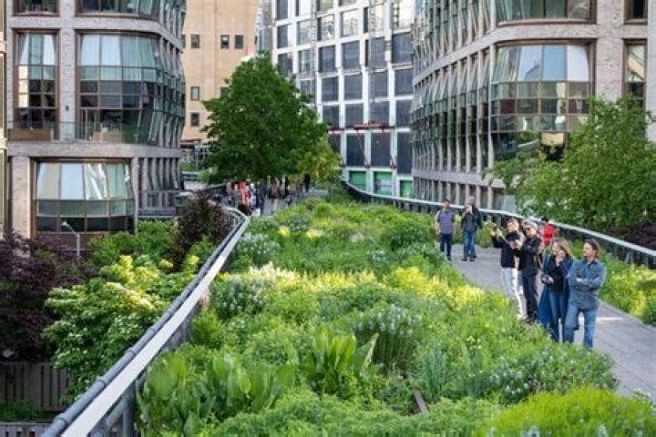 Who designed the High Line Garden