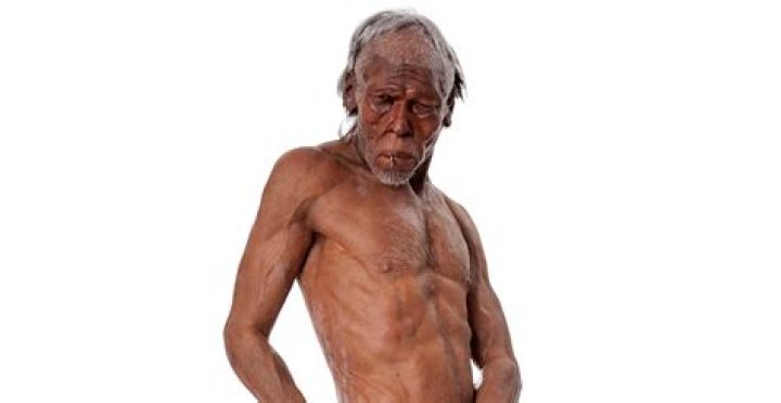 Who found the first pineapple